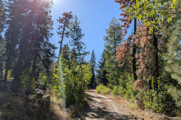 Mill Creek Road - FS5N21