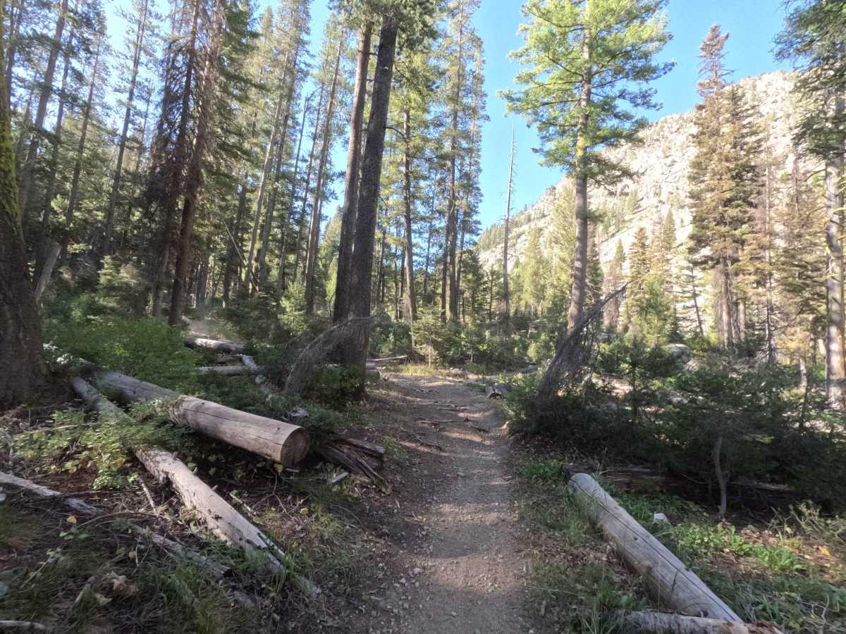 South Fork Ross Fork - FS 7227 photo 4