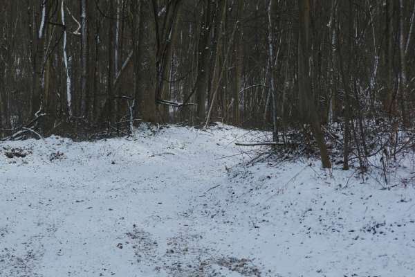 Trail 22