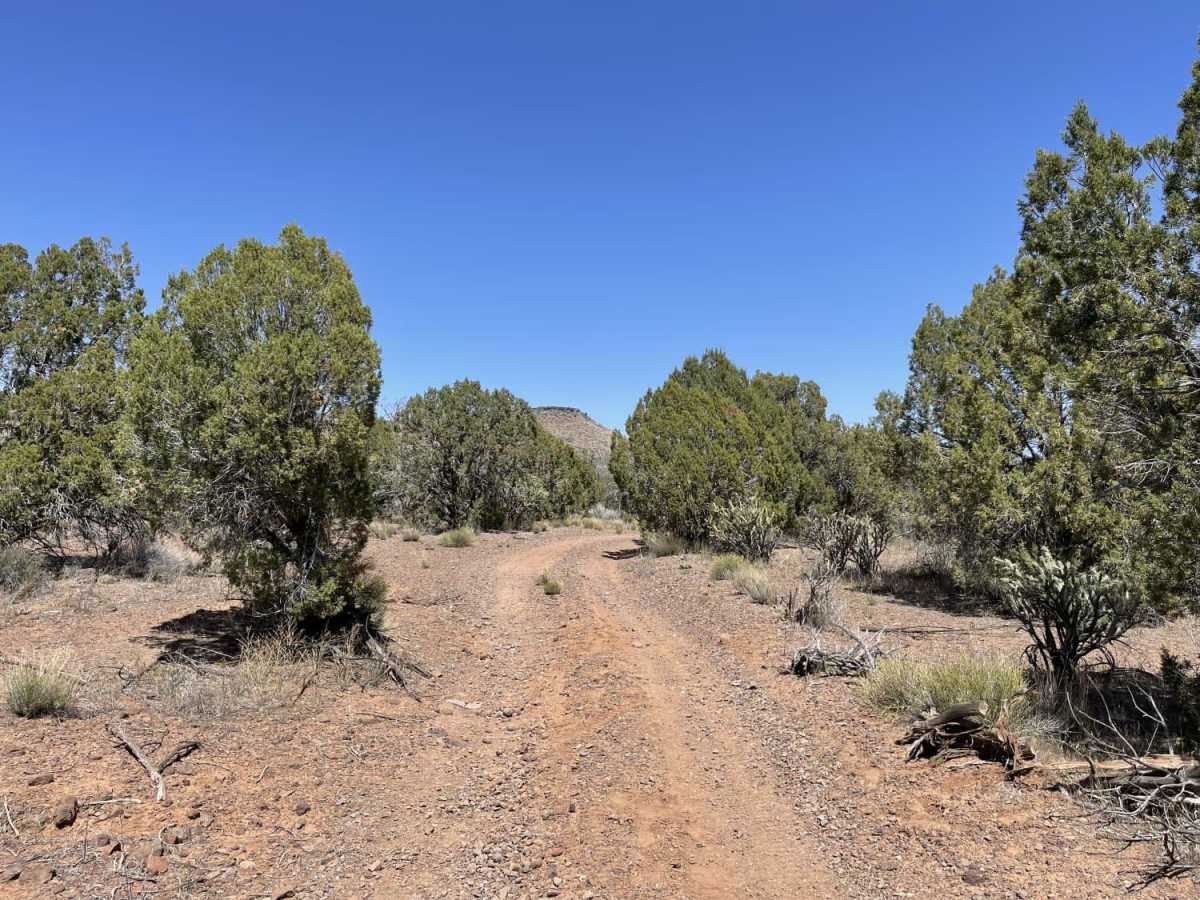 Coral Canyon photo 5