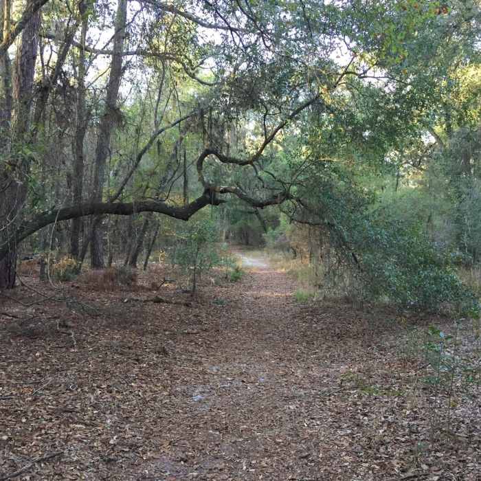 A natural arch adds a special treat on the Big Shoals Trail. Near Big Shoals Trail