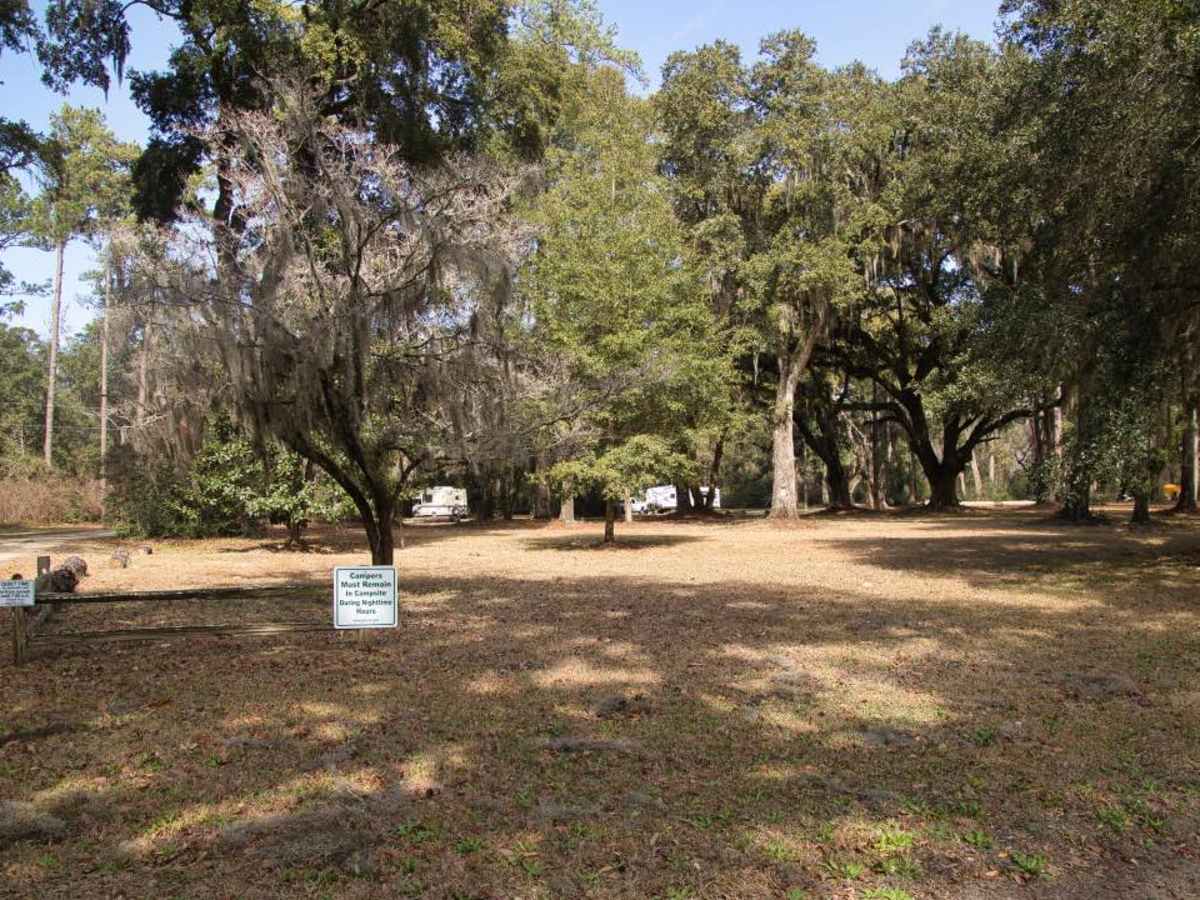 Santee Coastal WMA photo 5