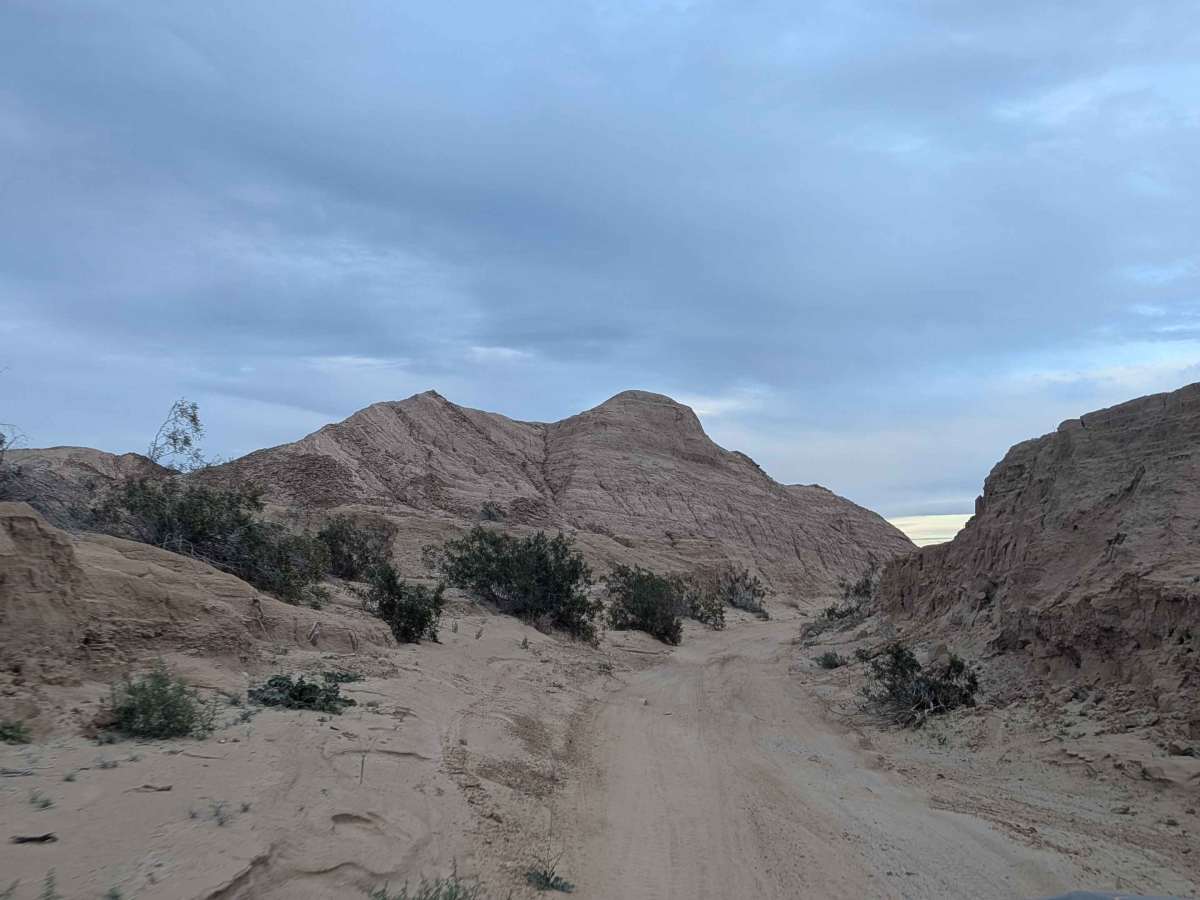 BLM 173 photo 2
