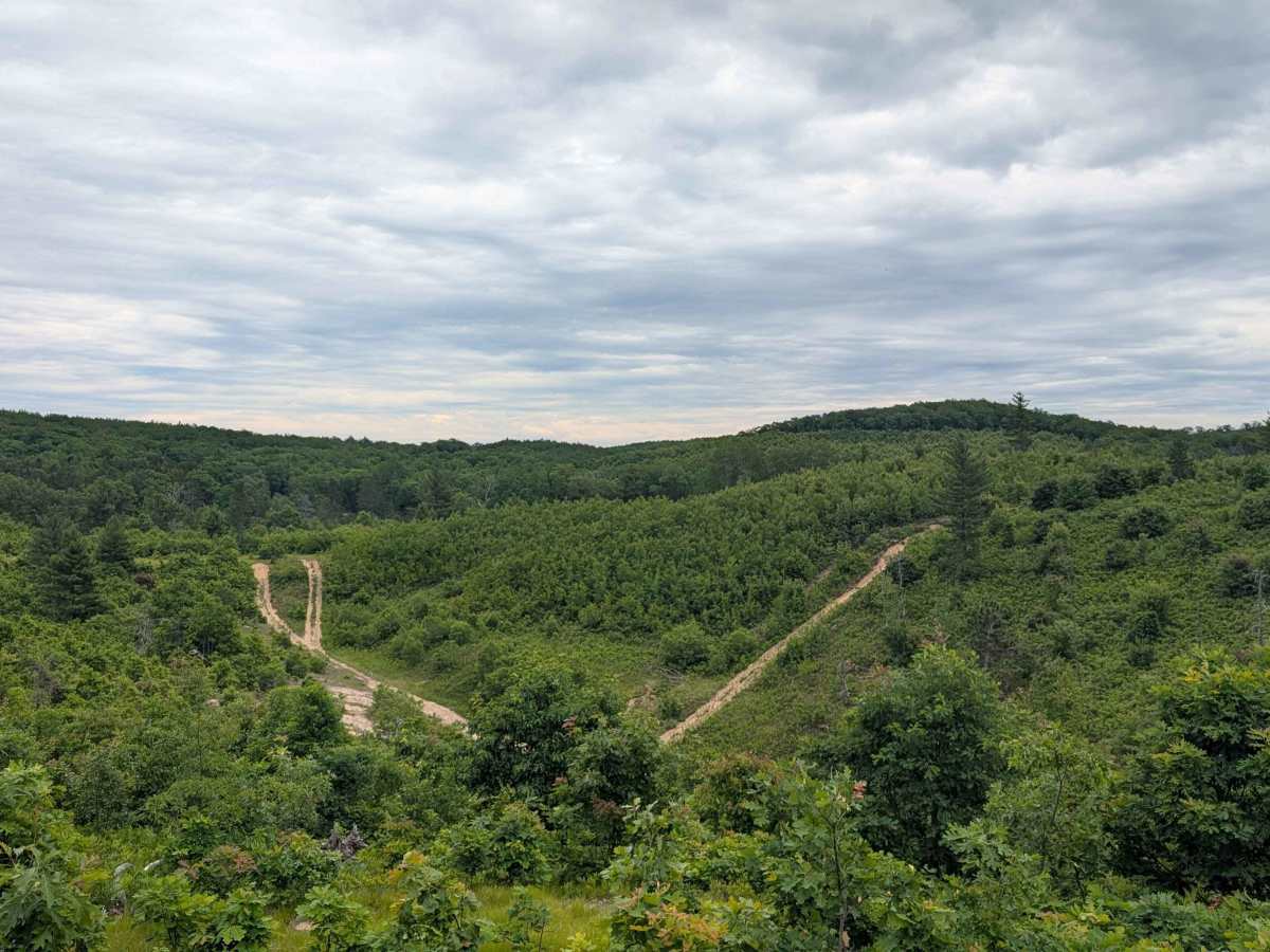 Lindquist Hill Military Trail trail photo
