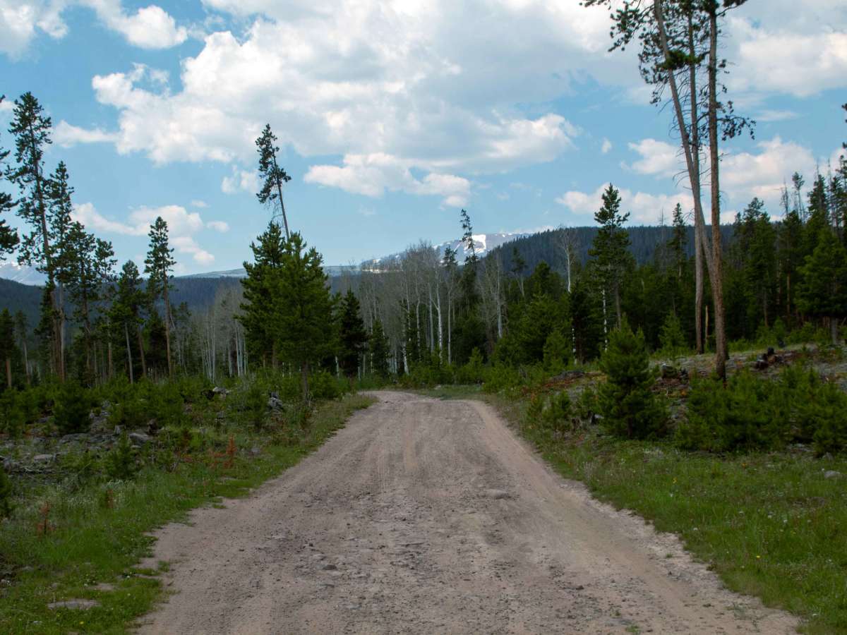 Beaver Meadows - FS 80086 trail photo