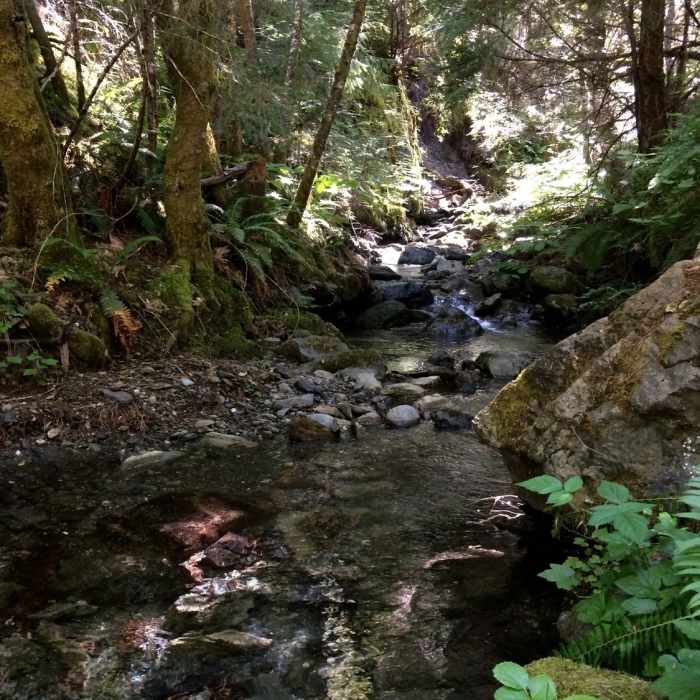 Marie Creek, named for early 20th century south fork resident Marie Lamb, where it crosses trail. Near South Fork National Recreation Trail