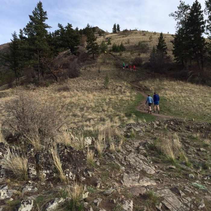 Near Mt. Sentinel Crest