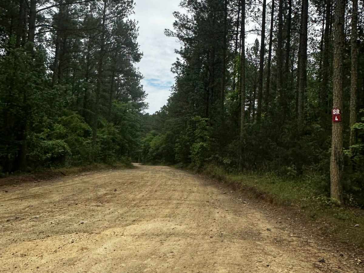 Service Road 4 (SR 4) photo 4