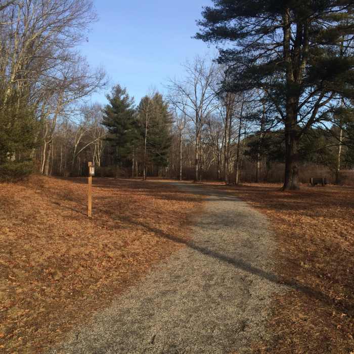 Near Grand Trunk Trail - Brimfield Section