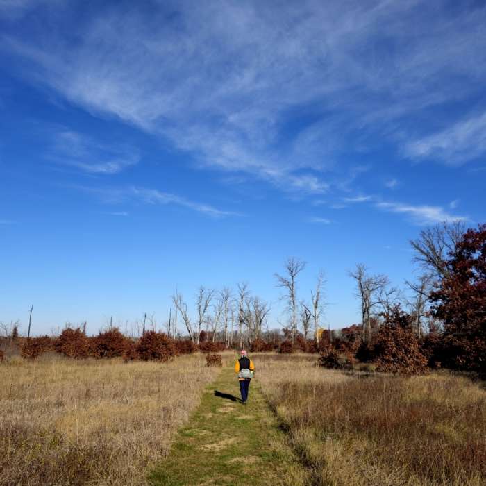 Near Blue Hill Trail