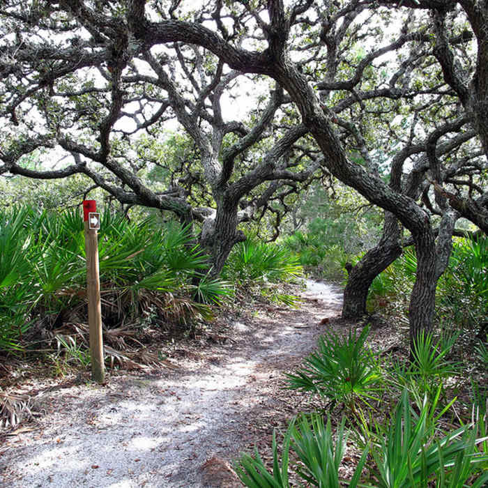 Near Red Trail