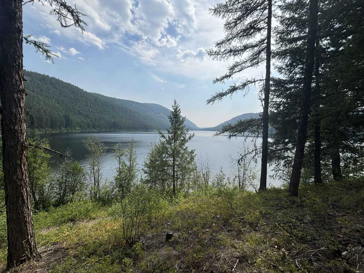Conkle Lake trail photo