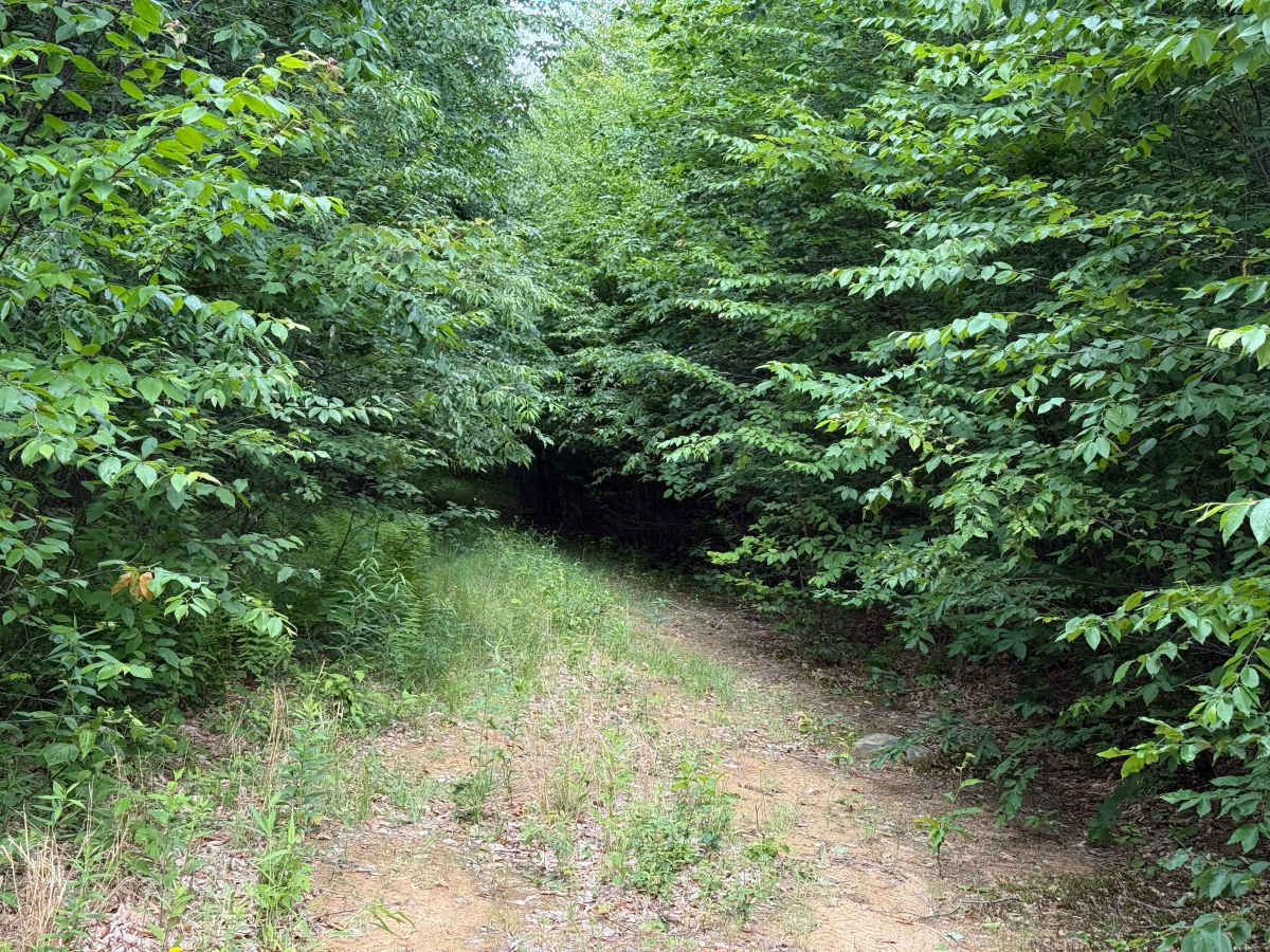 Barker Trail photo 3