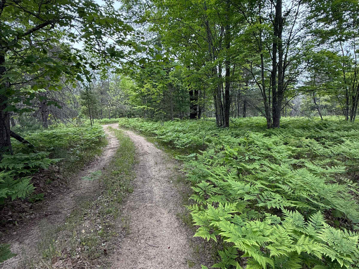 Smith Lake Trail photo 3