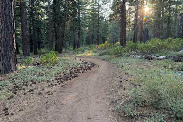 Grist Mill Loop (West)