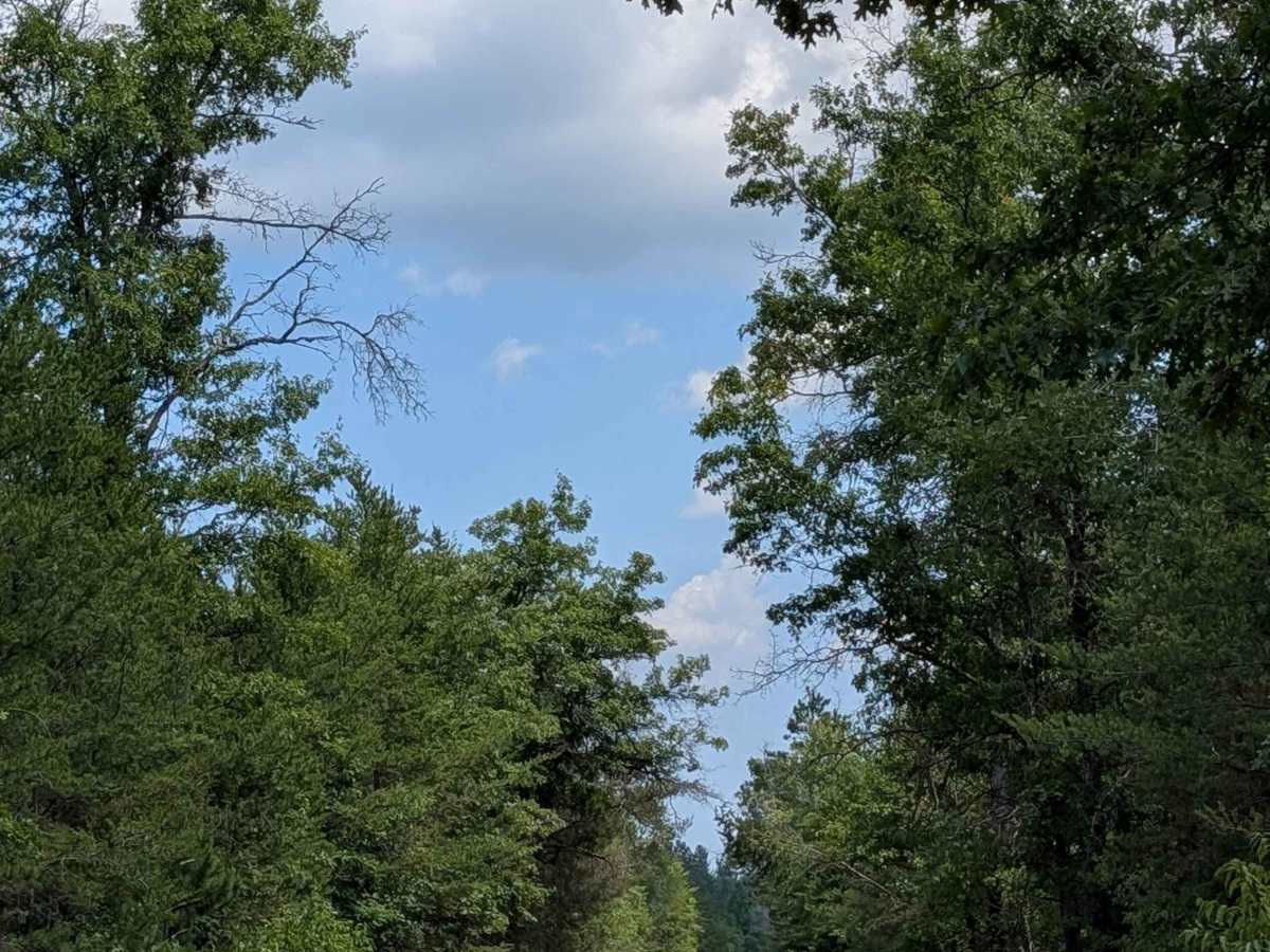 Curtisville Road - FS 4134 photo 5