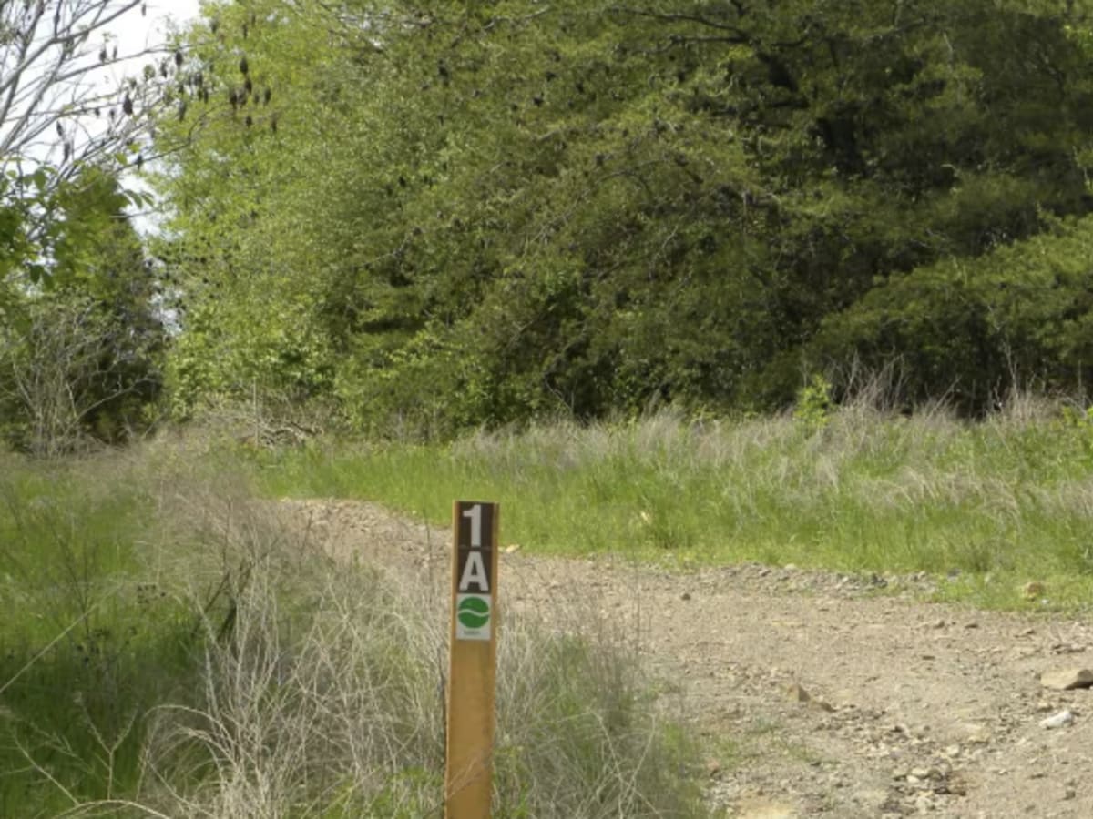 Trail 1A photo 5