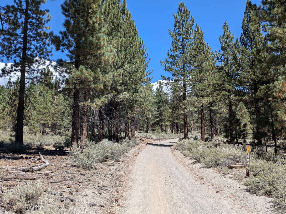 Lookout Mountain - FS 2S02 trail photo