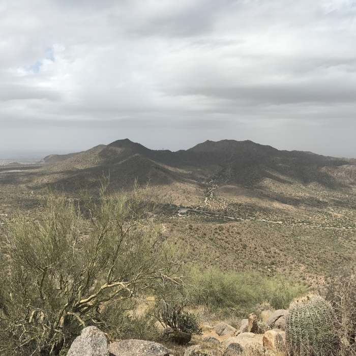 Near EJ Peak Trail (Lone Mountain)