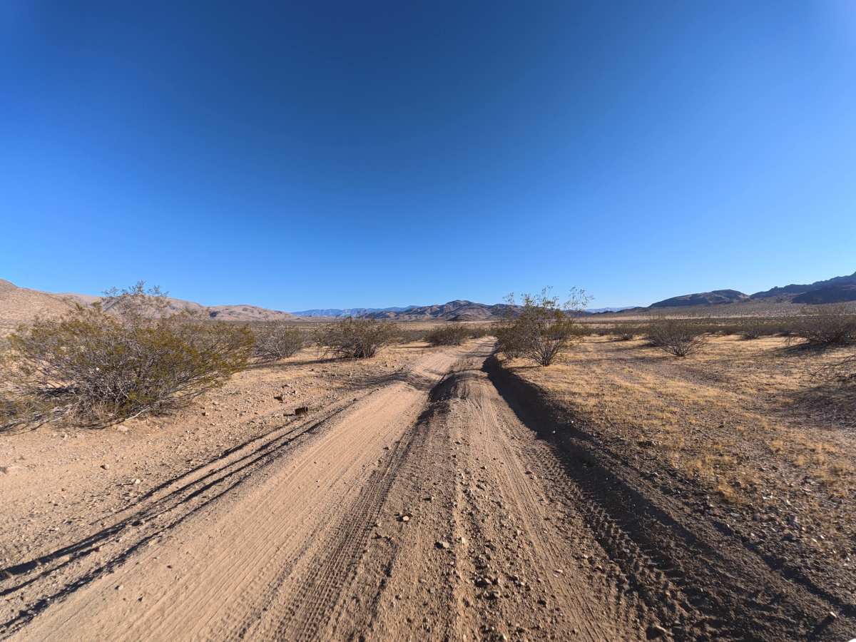 BLM SV2633 photo 3