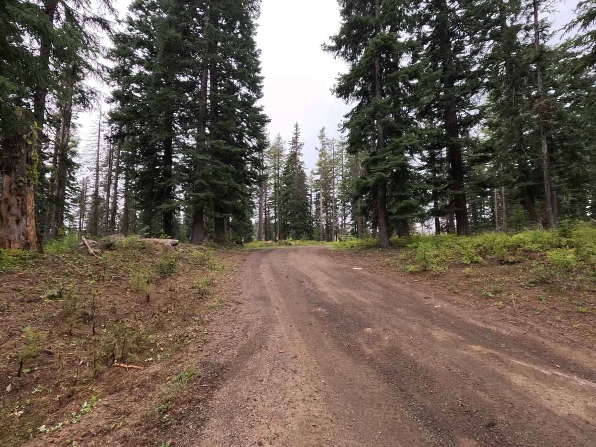 Mount Emily Road - FS 3120520 photo 4