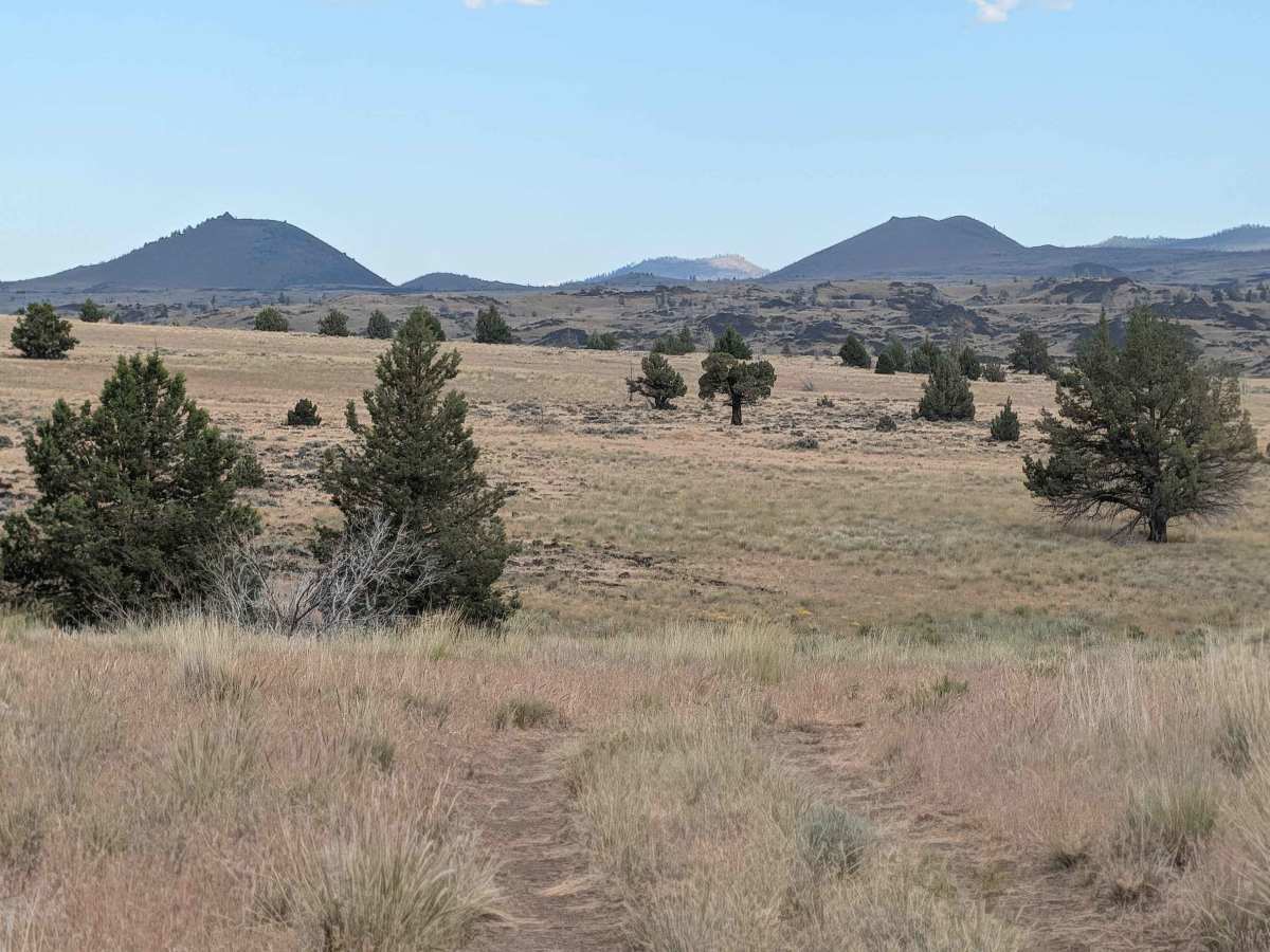 Sheep Camp Butte - FS 47N18 photo 5