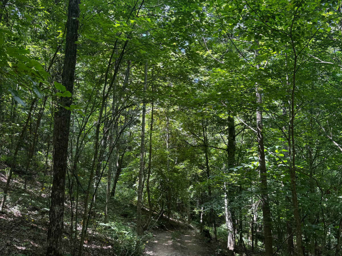 Trail 11A photo 4
