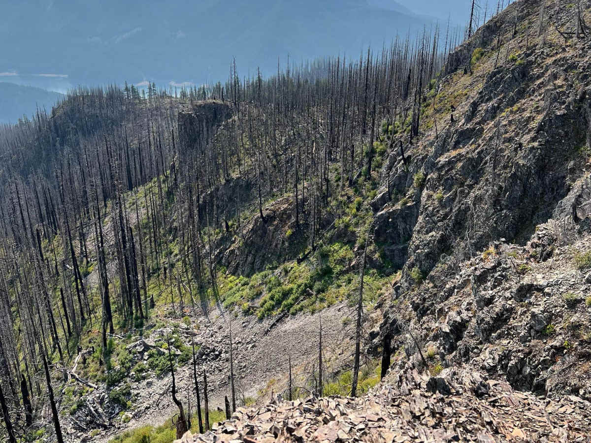 Hall Ridge photo 4