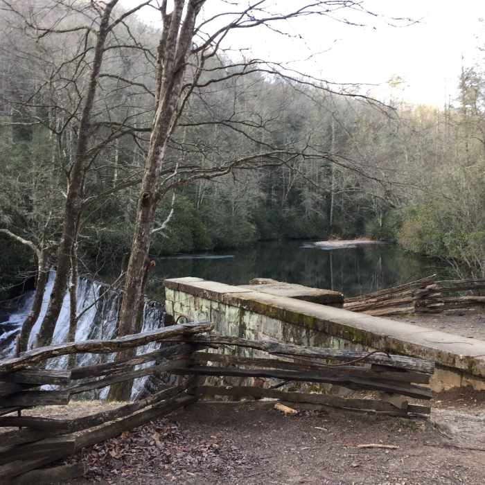 Near Fletcher Creek Trail #350