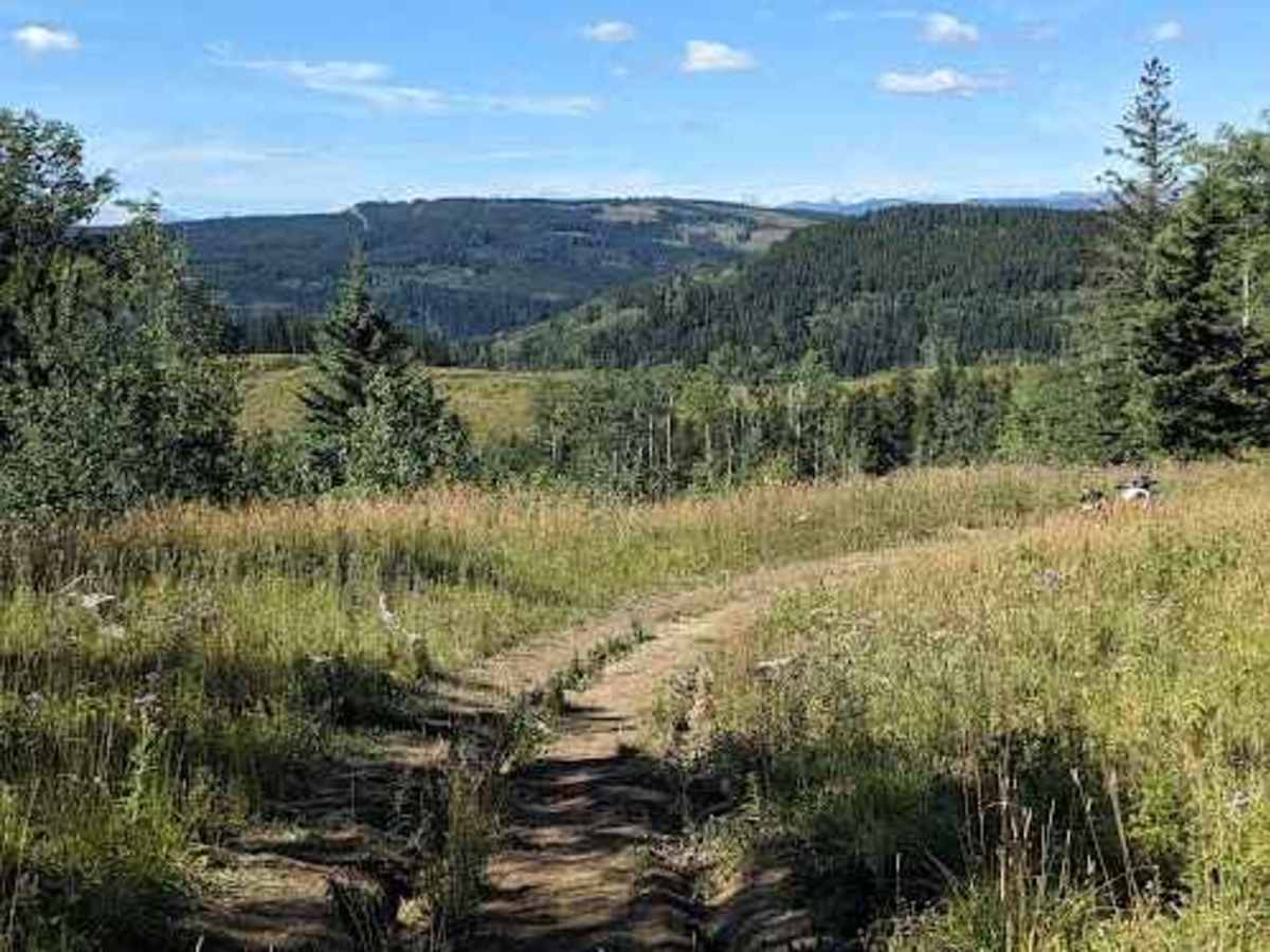 Porcupine Hills Trail 30-33 photo 5