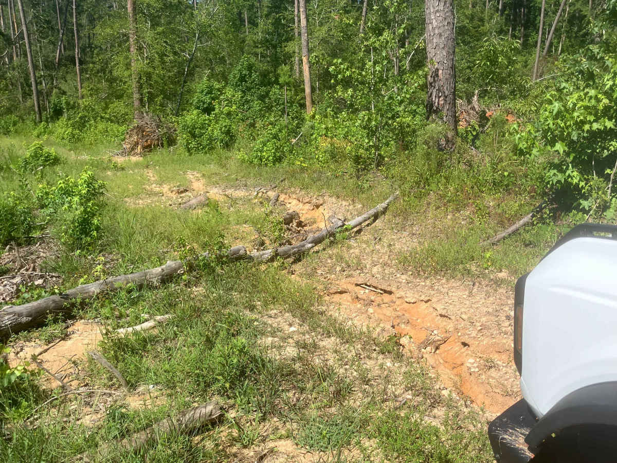 Mason Wildlife Trail North photo 6
