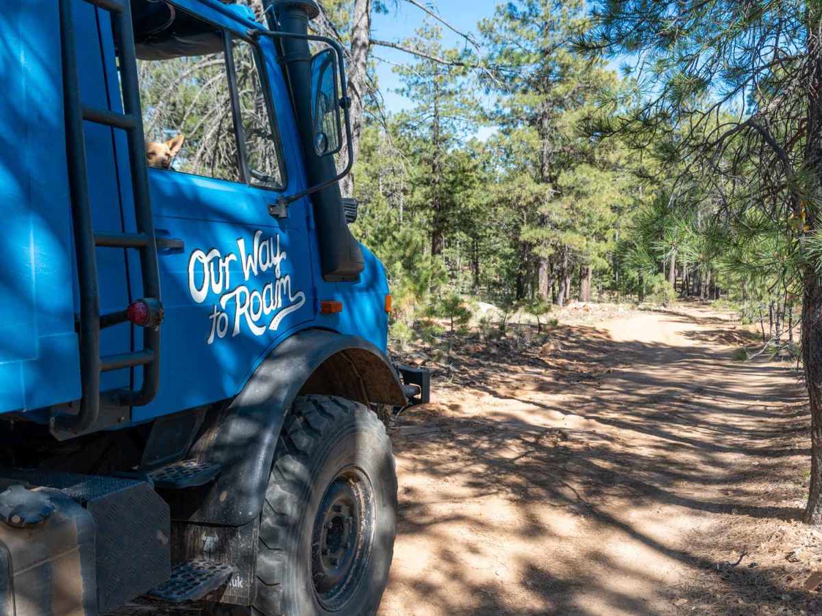 Promontory Butte - FS 410 trail photo