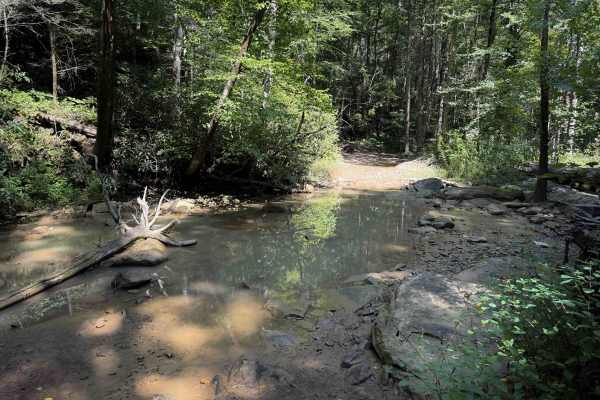 Pond Ridge 