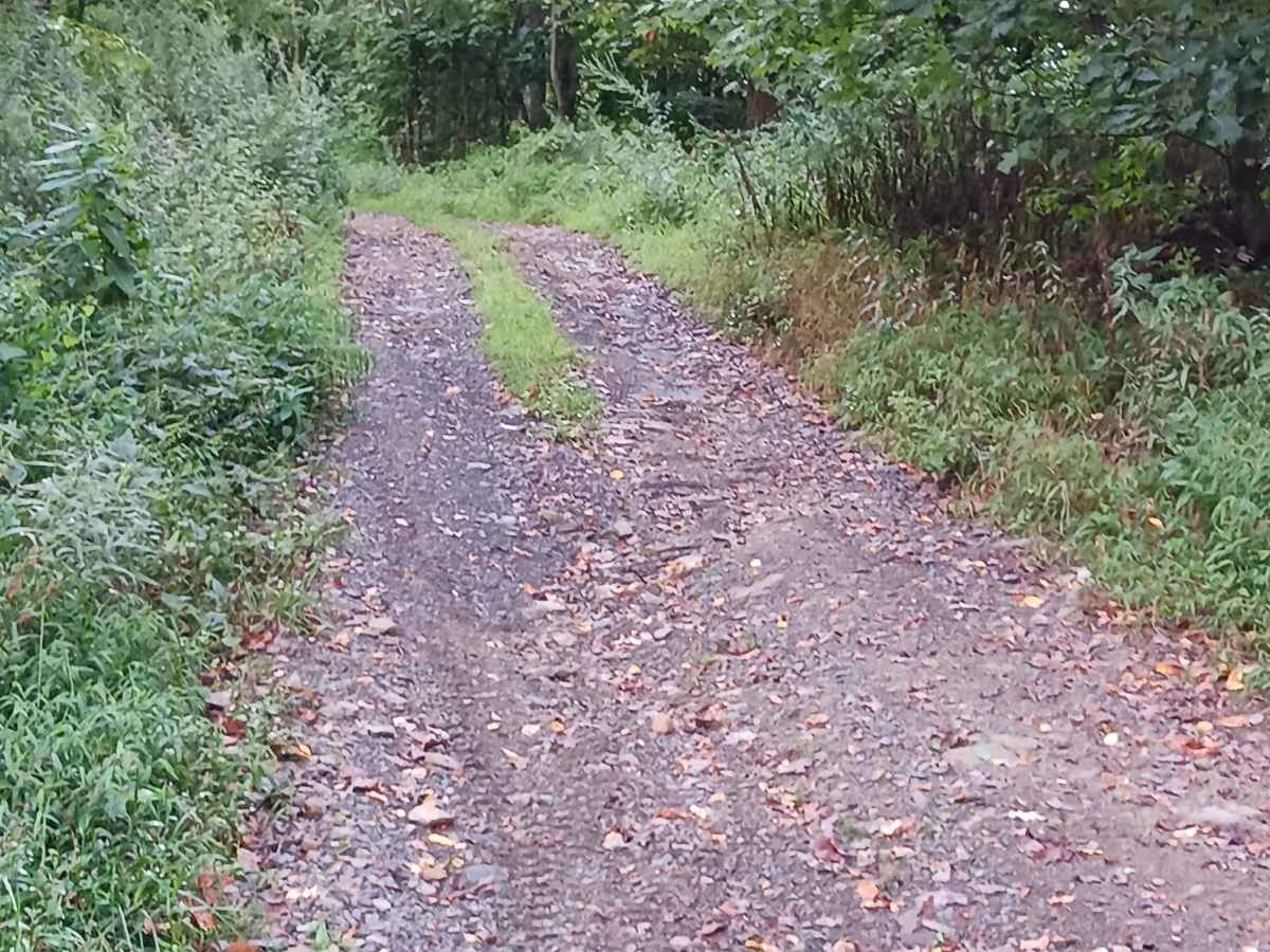 Rock Den Ridge Top Bypass - Rock Run Recreation Area photo 4