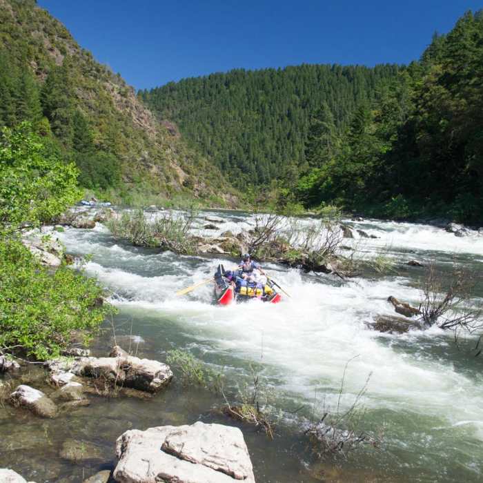 Near Whisky Creek Cabin
