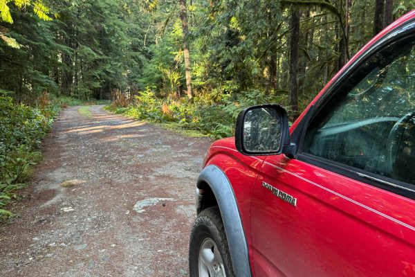 Rat Trap Pass Spur 1
