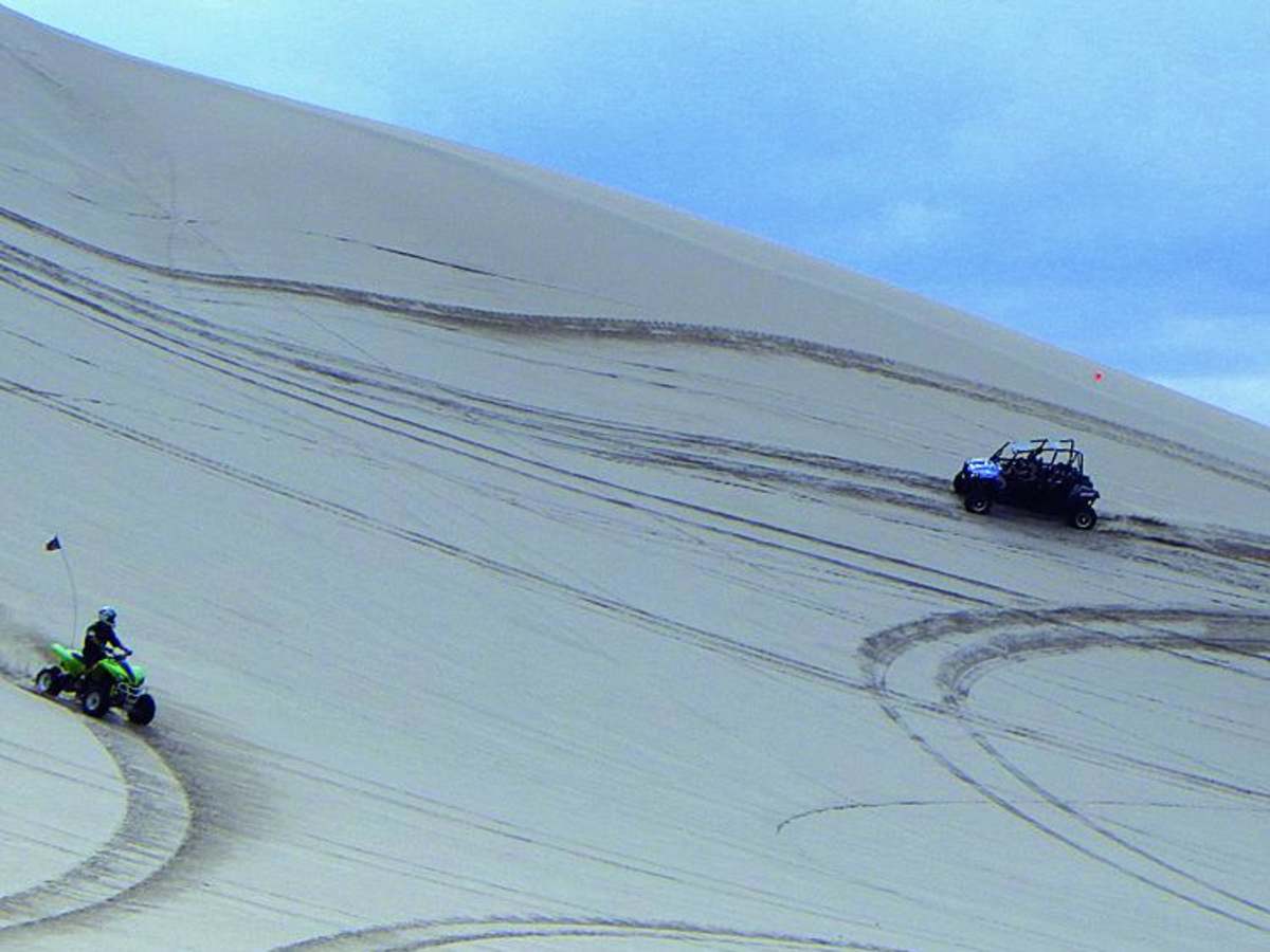 Dumont Dunes trail photo