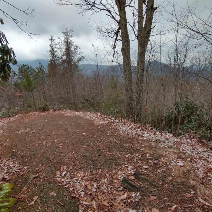 Near Lower Mount Cammerer Trail