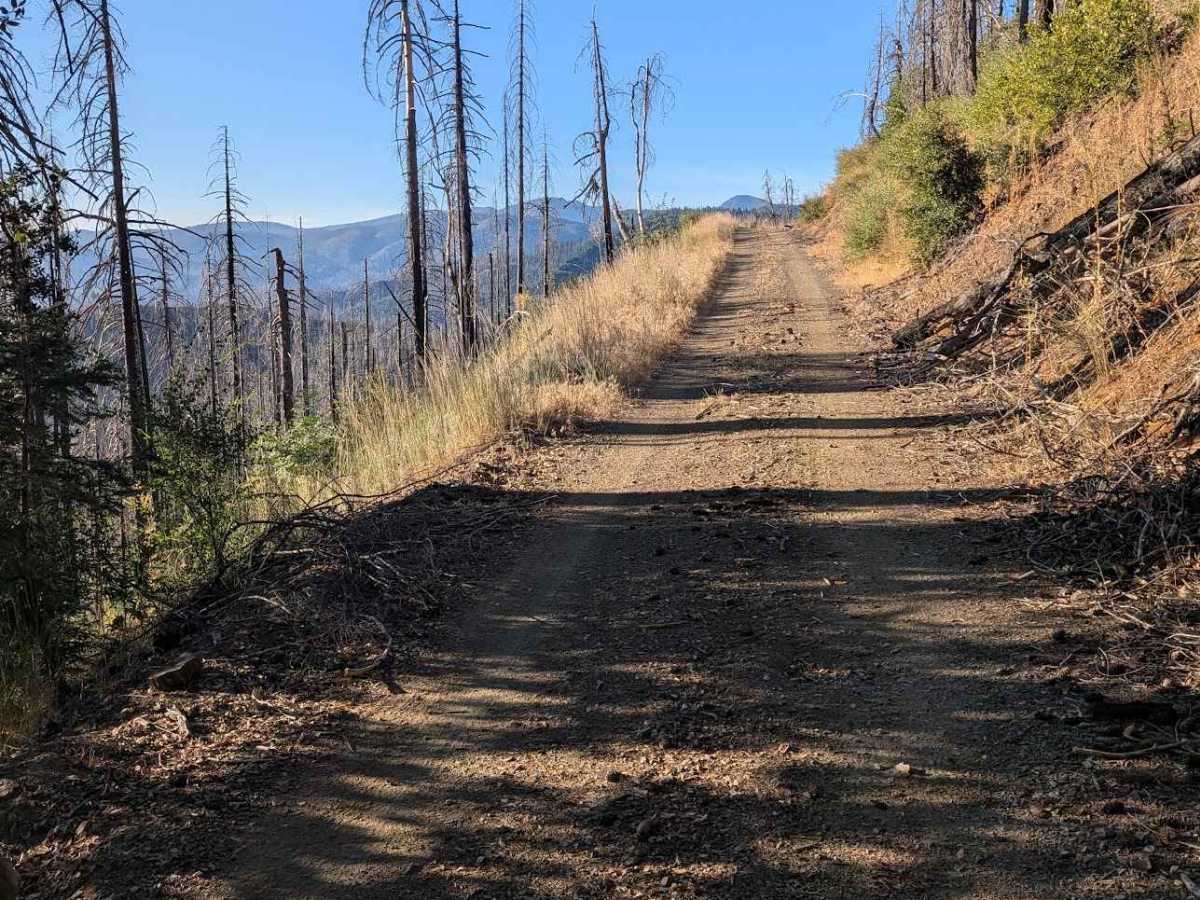 McFarland Ridge Road - FS 29N25 photo 5