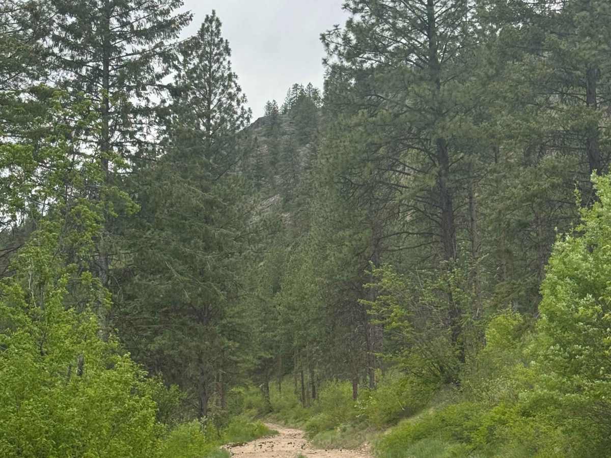 Fritz Creek - FS 2000-400 photo 6