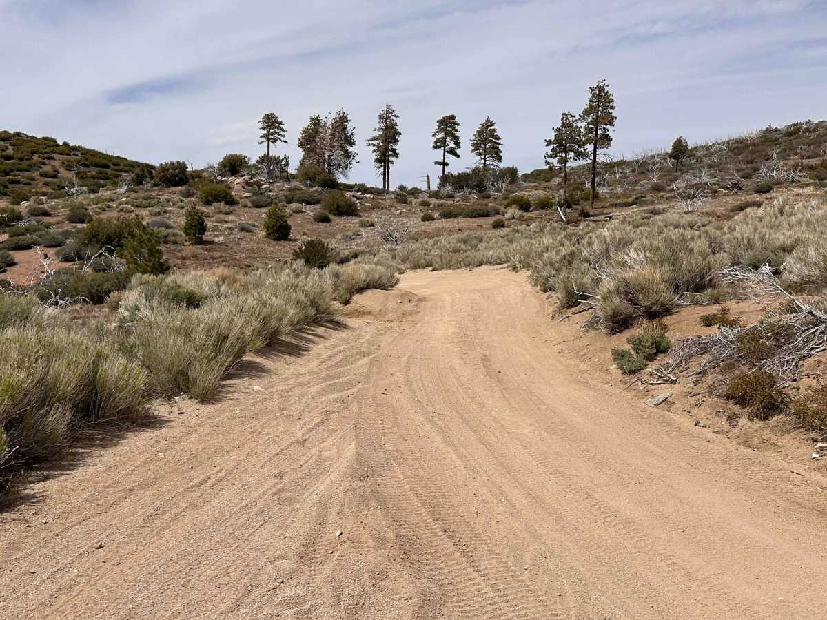 Prospector's Cutoff trail photo