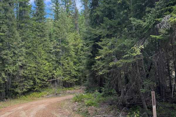 Bridge Creek - FS 2020-120