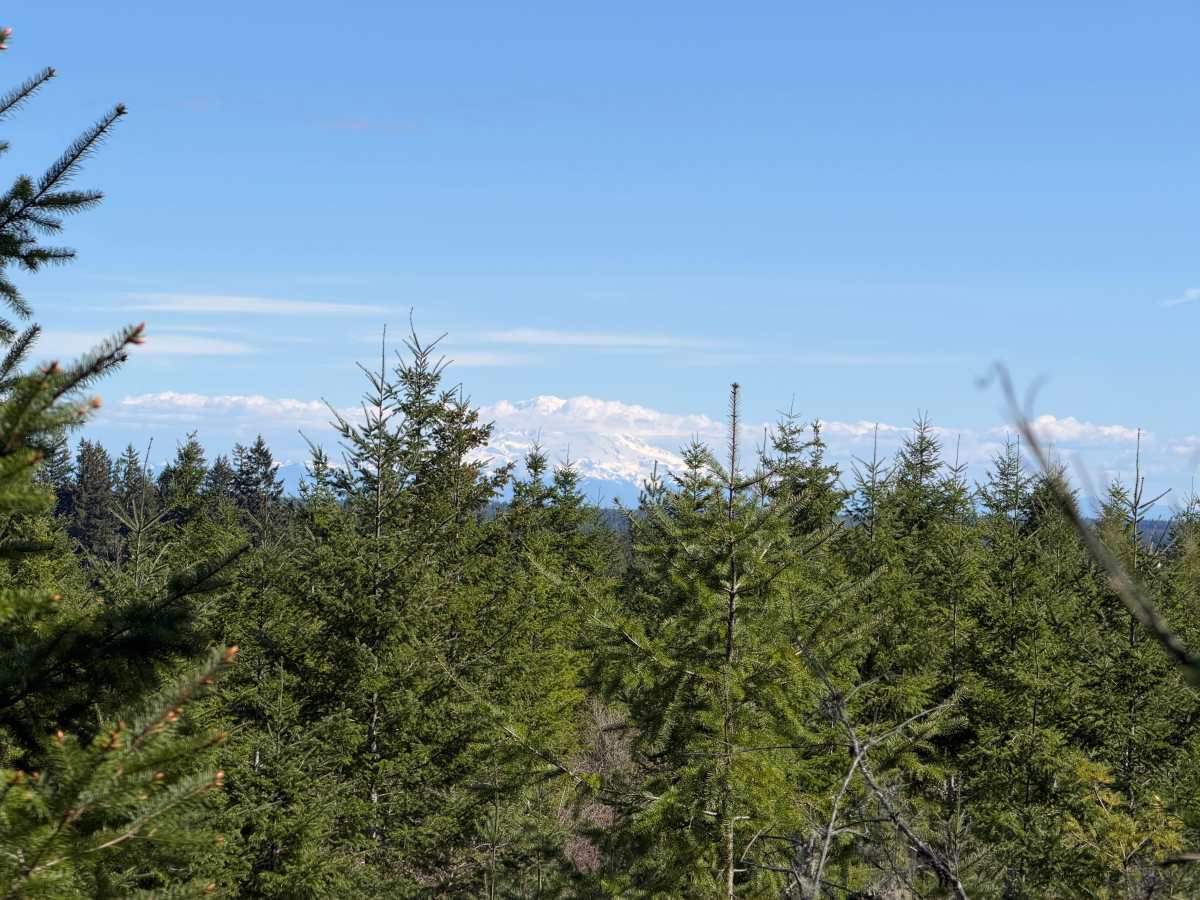 Overland Trail East photo 3
