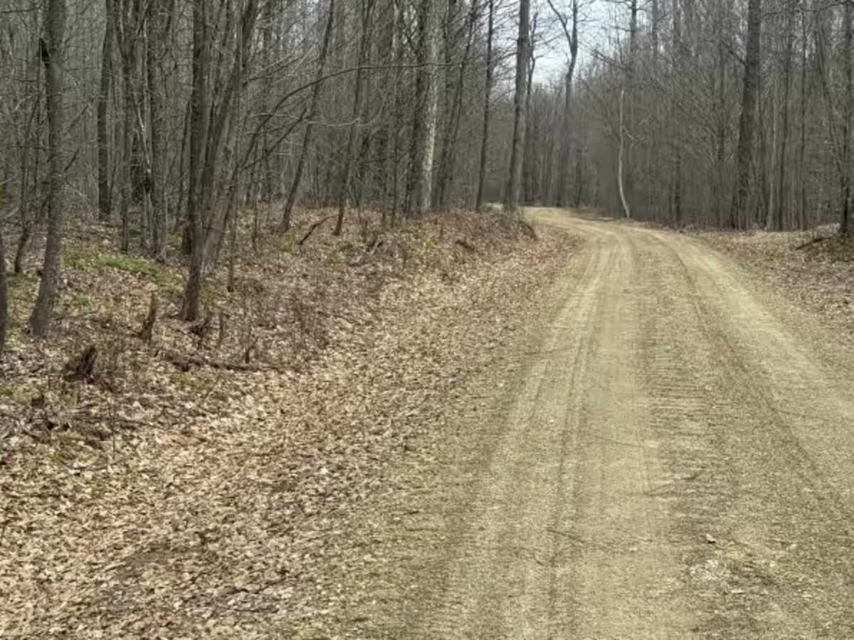 Whitey Run - FS 871938 trail photo