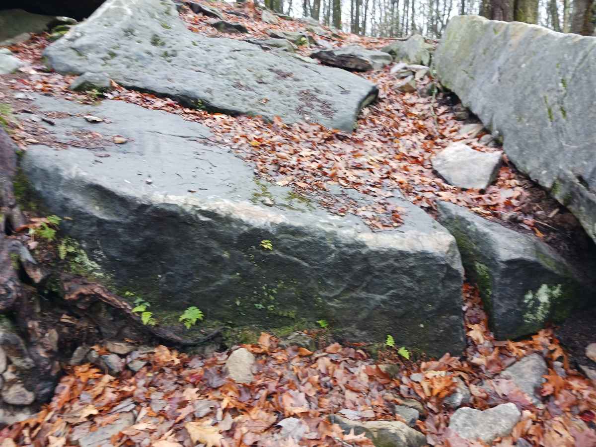 OHV 35 - Rock Run Recreation Area photo 4