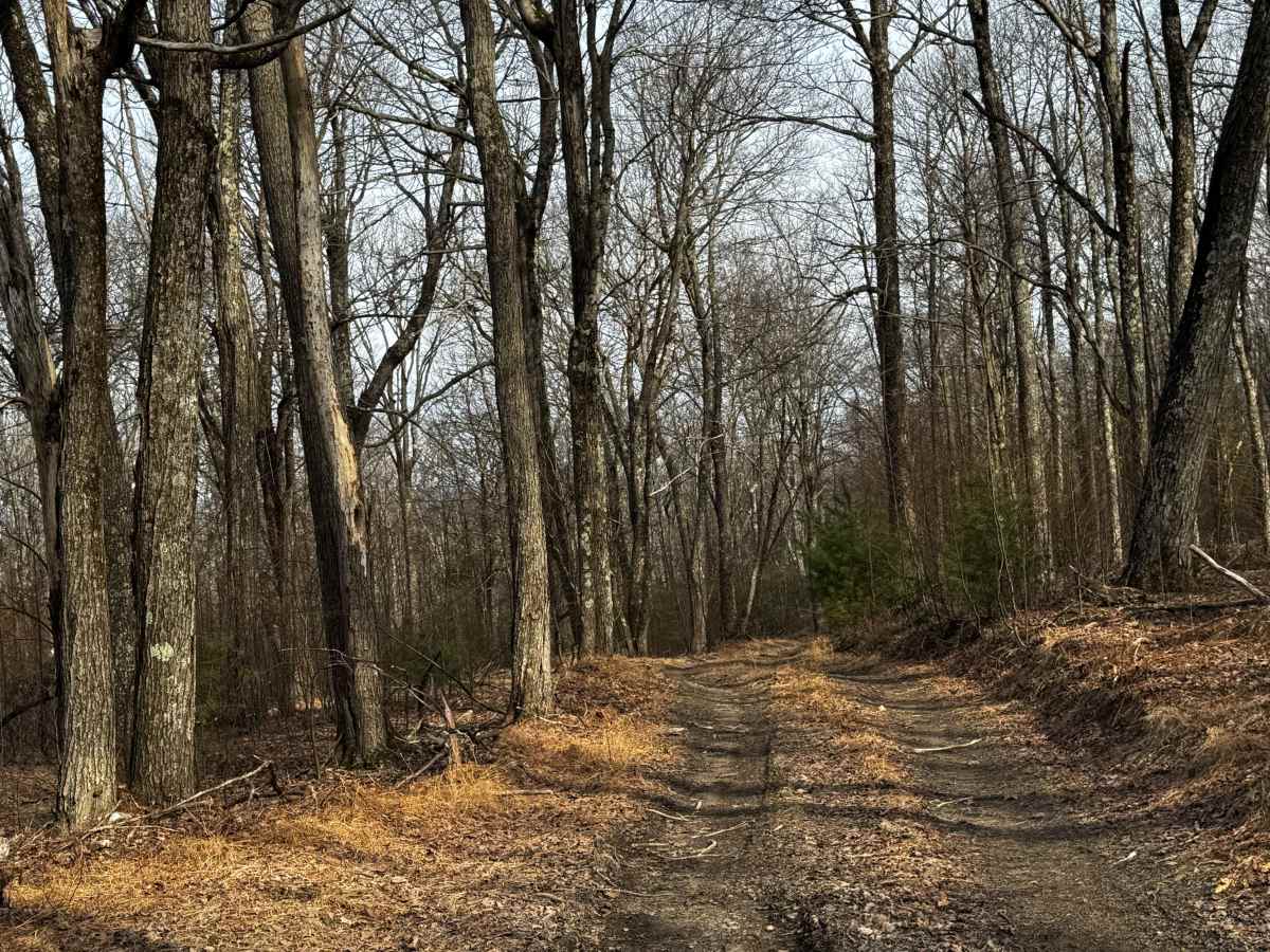 Caldwell Ridge photo 3