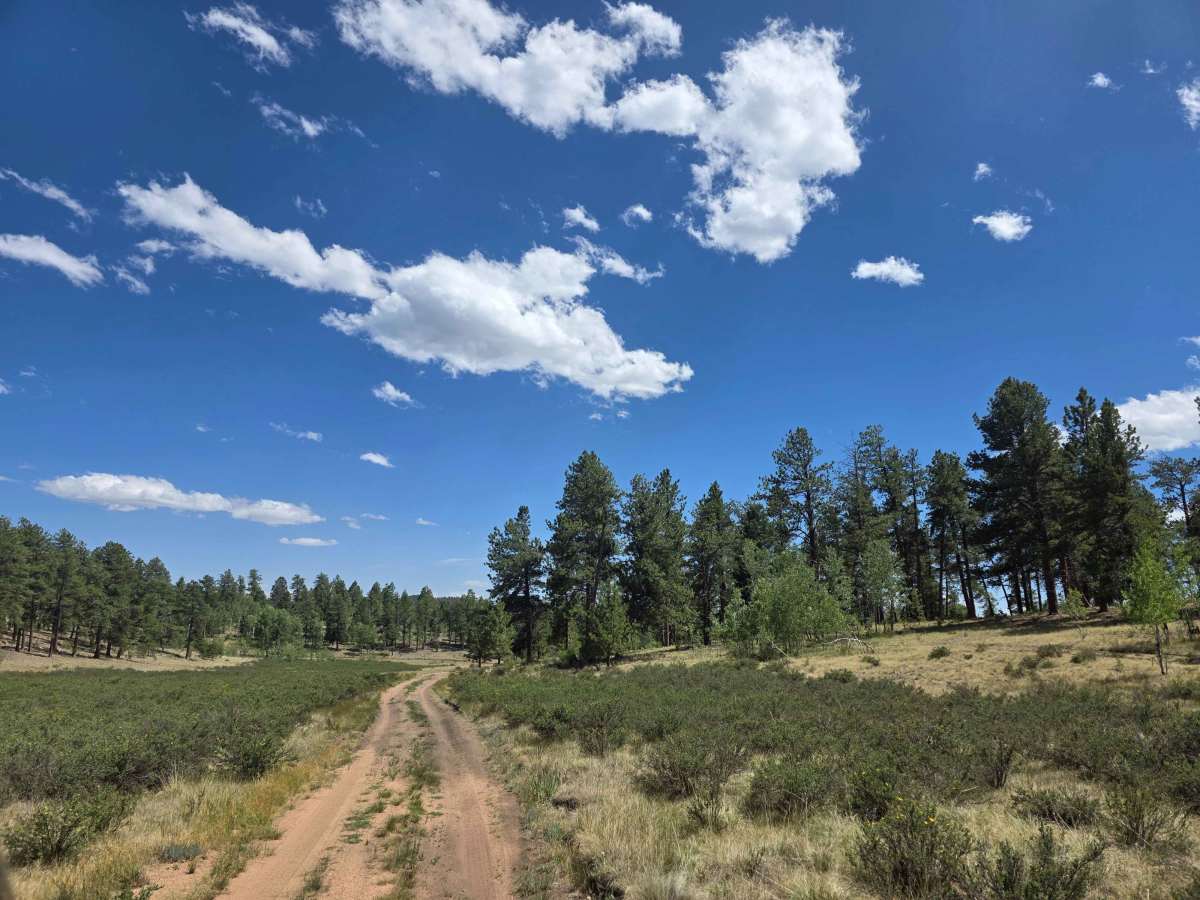 Nice Camp Road - FS 244A photo 4