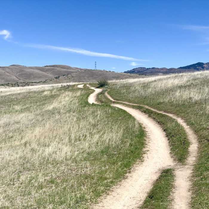 Near Military Reserve: Central Ridge