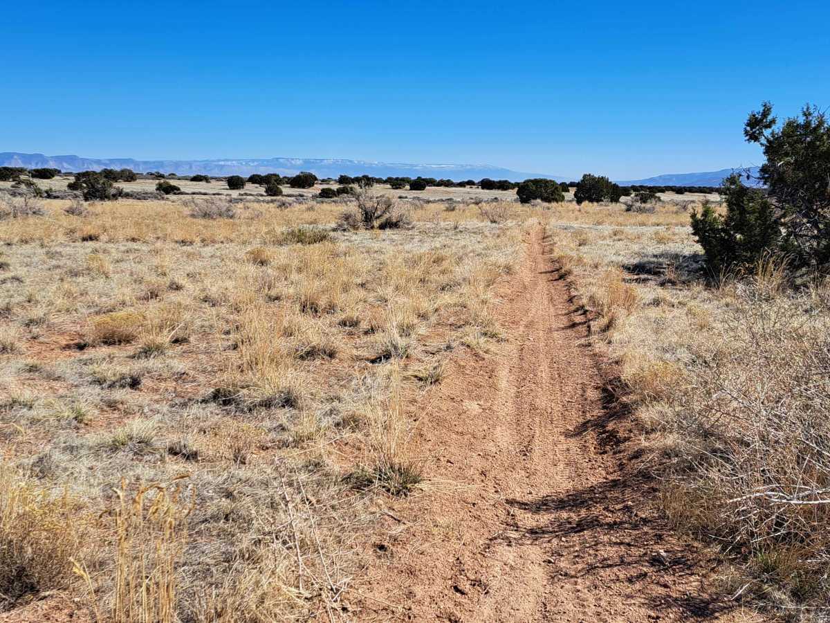 BLM Trail 106 trail photo