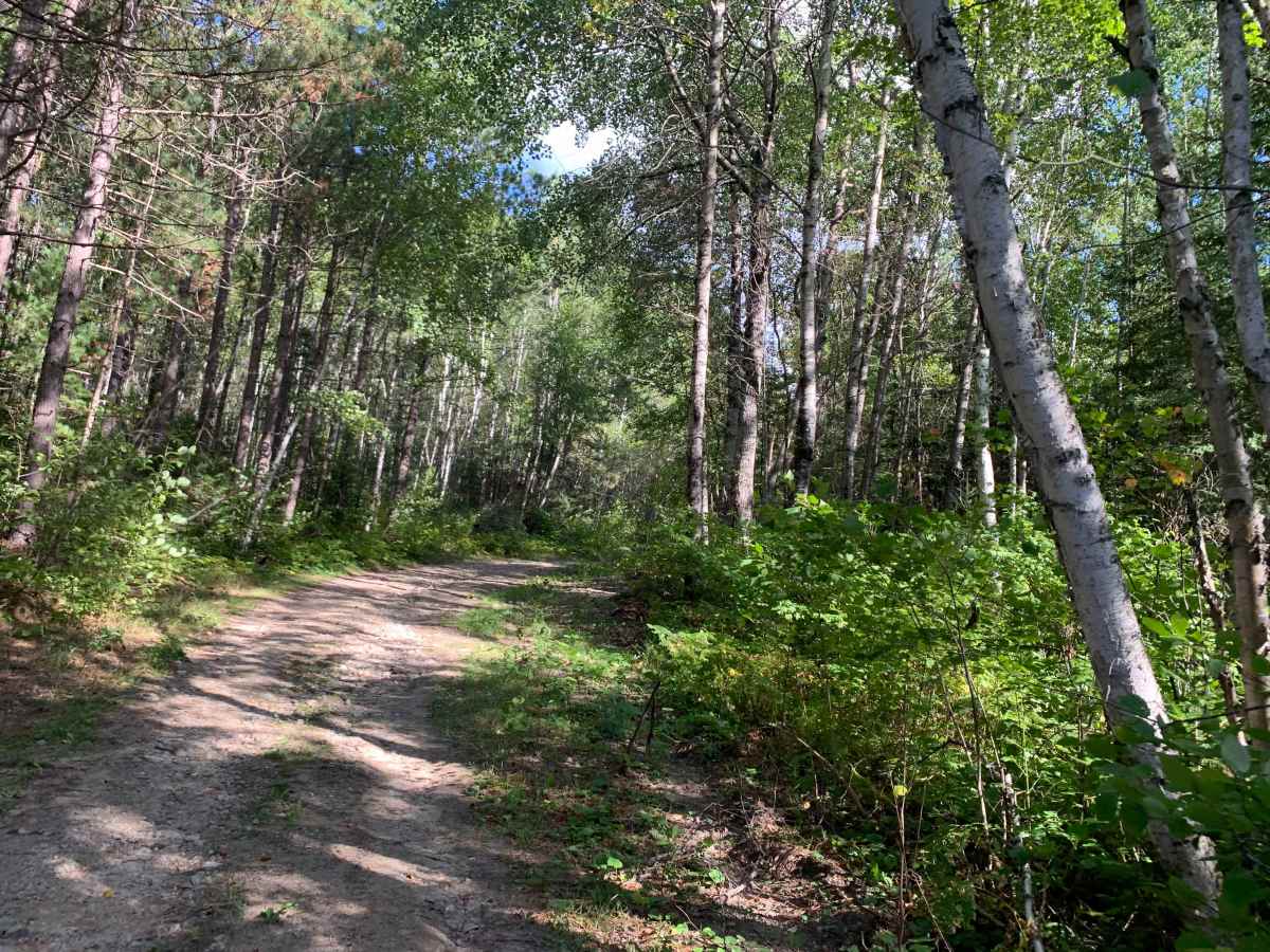 Marion Creek - FS 492 photo 3